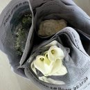 씨유 사상유통단지점 | w. 웨딩촬영 셀프부케. 부산 꽃시장 엄궁화훼단지. 들꽃·카라· 미니서브부케