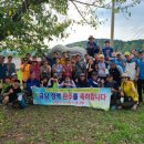 금남막국수