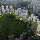 대연부동산공인중개사사무소 이미지