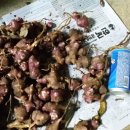 우신건강원 이미지