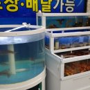 람바다횟집 이미지