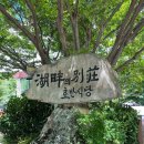 오리별장 | 거제도 애견동반식당 호반의 별장 오리백숙 맛집