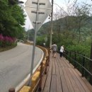 구룡자동차야영장(치악산국립공원) 이미지