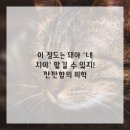 예감치과의원 이미지