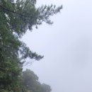 지에스(GS)25안동풍천면점 이미지