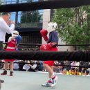 화랑 (권투) 이미지