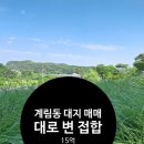 01-35 동구 이미지