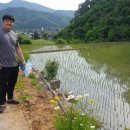 우리밸리 별님 이미지