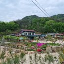 정원펜션 이미지