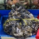 대명시장 앞 이미지