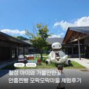 지역센터마을활력소 | 횡성 아이와 가볼만한곳｜안흥찐빵 모락모락마을 찐빵 만들기 체험 후기
