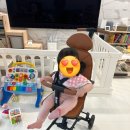 썬에이블 | 에이블 트라이크(유모카 플러스) 구입후기