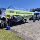 세븐일레븐 부산시민공원로점 | 2026 부산예총 갈매랑축제 개최 부산시민공원 현장 후기~!!