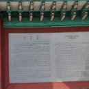 선충사 이미지