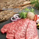 마시조와 이미지