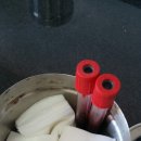 올래퍼피 네이버블로그