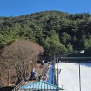 백아산관광목장 | 아이랑 광주 근교 방학 동안 가기 좋은 곳 화순 백아산 눈썰매장