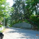 명정고개길 이미지