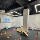 멍스쿨 전주애견유치원 애견호텔 이미지