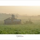 영락목장 이미지