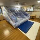 양재목련 이미지