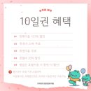 가치있개 반려견 유치원 이미지