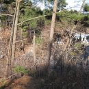 연포주유소 이미지