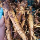 뿌리약국 이미지