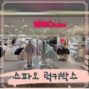 스파오키즈NC