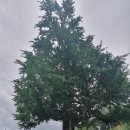 경기둘레길 양평31코스 이미지