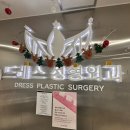 수 성형외과의원 | 신논현 쌍수 잘하는 곳 드레스성형외과의원 쌍수 상담 방문기