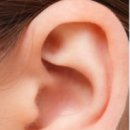 귀건강이혈테라피 이미지