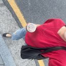 쿨걸 | [ZARA]핀터레스트 쿨걸 무드 조츠버뮤다팬츠 후기!!