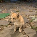 SKY비발디펜션 이미지