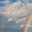 무지개다리 이미지