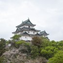 땅끝천년숲옛길 | 일본에 이런 곳이 있다고? 천년 숲길 구마노고도 함께 걸어요!ㅣ월드챌린저