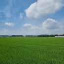 구례의길(남도이순신길) 이미지