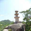 은행나무로 이미지