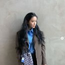 블루블랙포인트