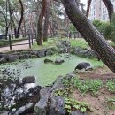 솔밭공원 이미지