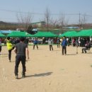 응봉초등학교 이미지