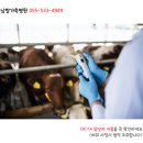 남창가축병원 네이버블로그