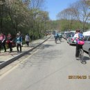 도화 농장 이미지