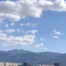 유명림행정사사무소 이미지