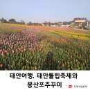 4월 축제, 태안튤립축제와 몽산포항에 다녀왔습니다~:) 이미지