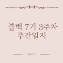 힐스테이트의정부역단지내 탑 공인중개사 | 블백 7기 3주 차 주간일지