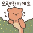 마스터 홍 태권도 네이버블로그