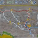 제198차 용화산(875m) 정기산행기 (2019.5.19) 이미지