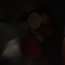 탐라 견문록