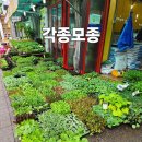 농민농약종묘 이미지